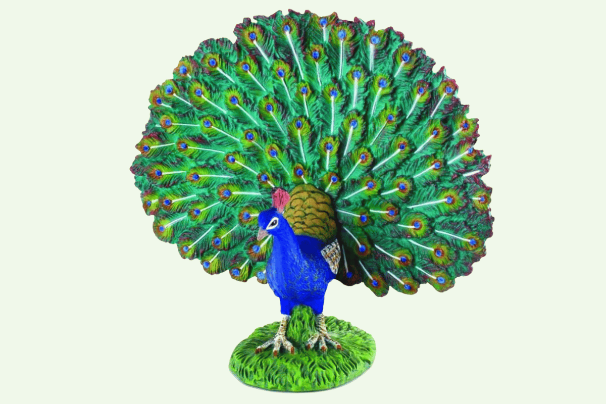 mo-hinh-chim-cong-collecta
