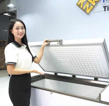 Tủ đông nằm ngang siêu thị Kanawa